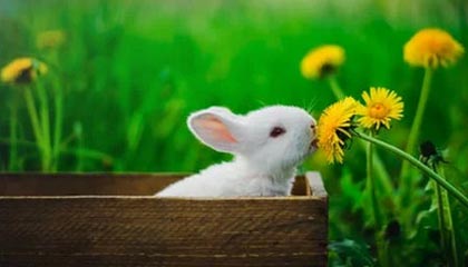 kaiyun.com-【早报】伤不起的皇萨仁...